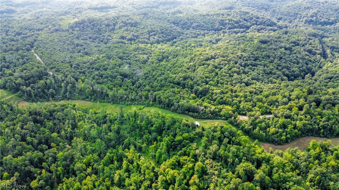 Ogles Ridge Road Property Photo 33