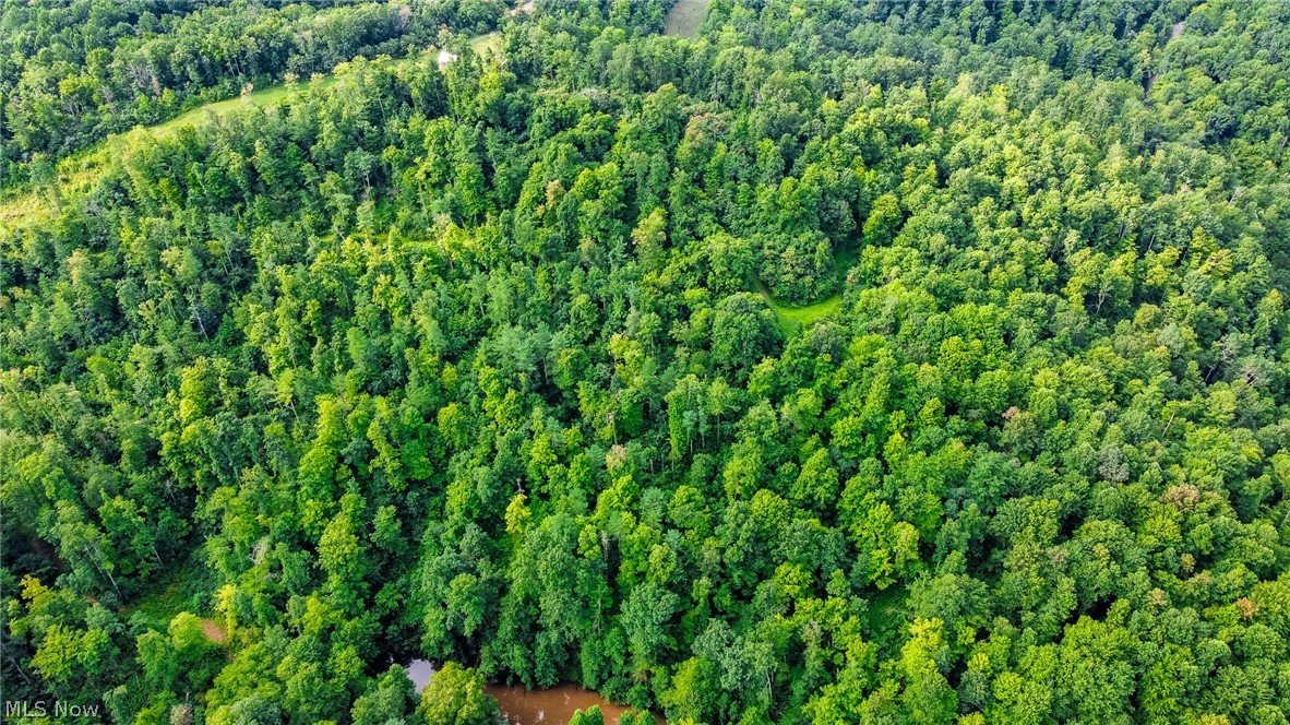 Ogles Ridge Road Property Photo 35