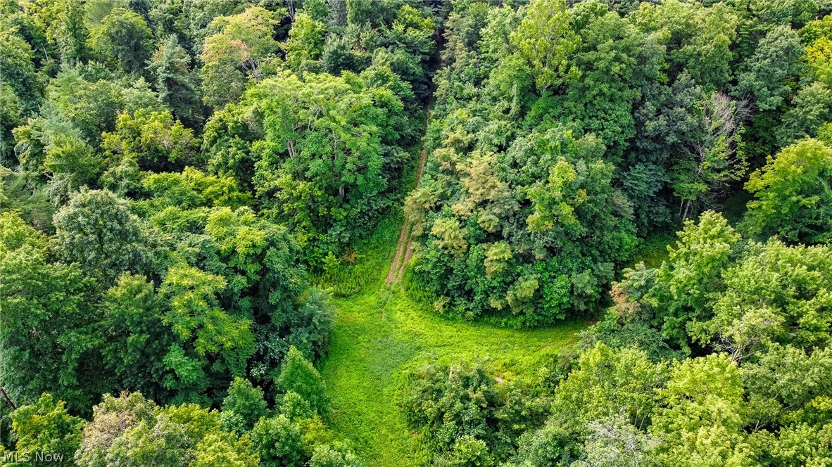 Ogles Ridge Road Property Photo 39