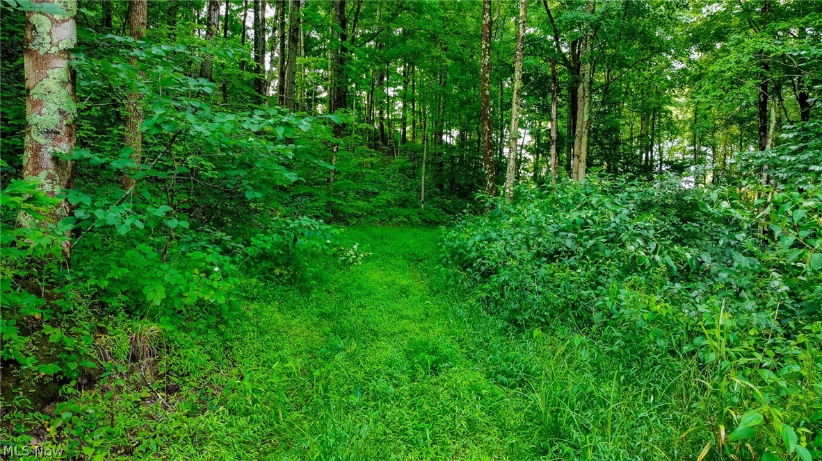 Ogles Ridge Road Property Photo 43