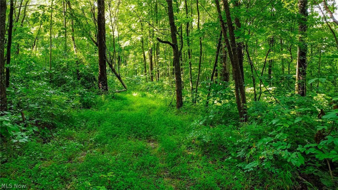 Ogles Ridge Road Property Photo 45