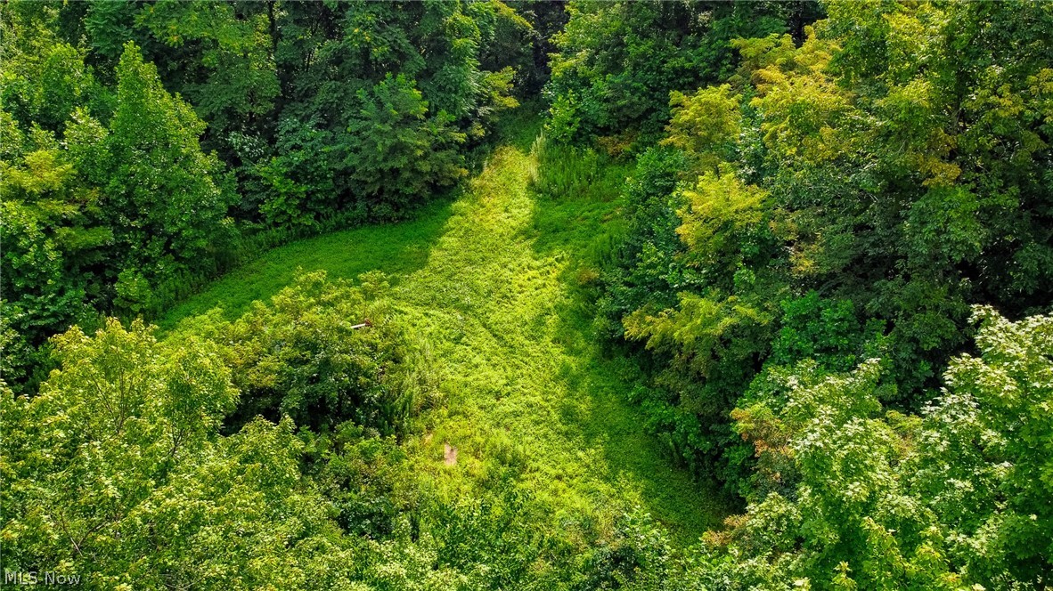 Ogles Ridge Road Property Photo 46
