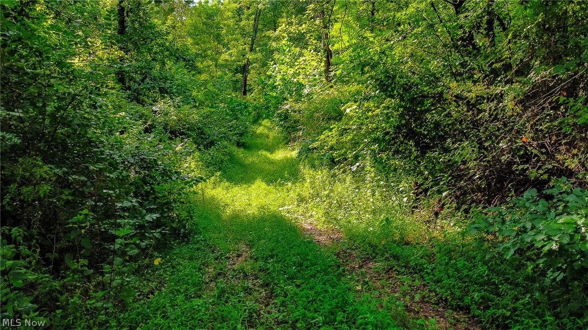 Ogles Ridge Road Property Photo 47