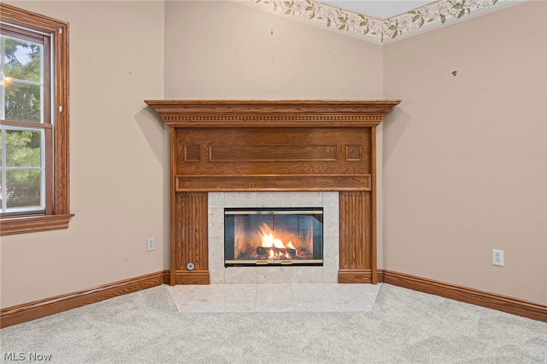 441 Shannon Drive Property Photo 30
