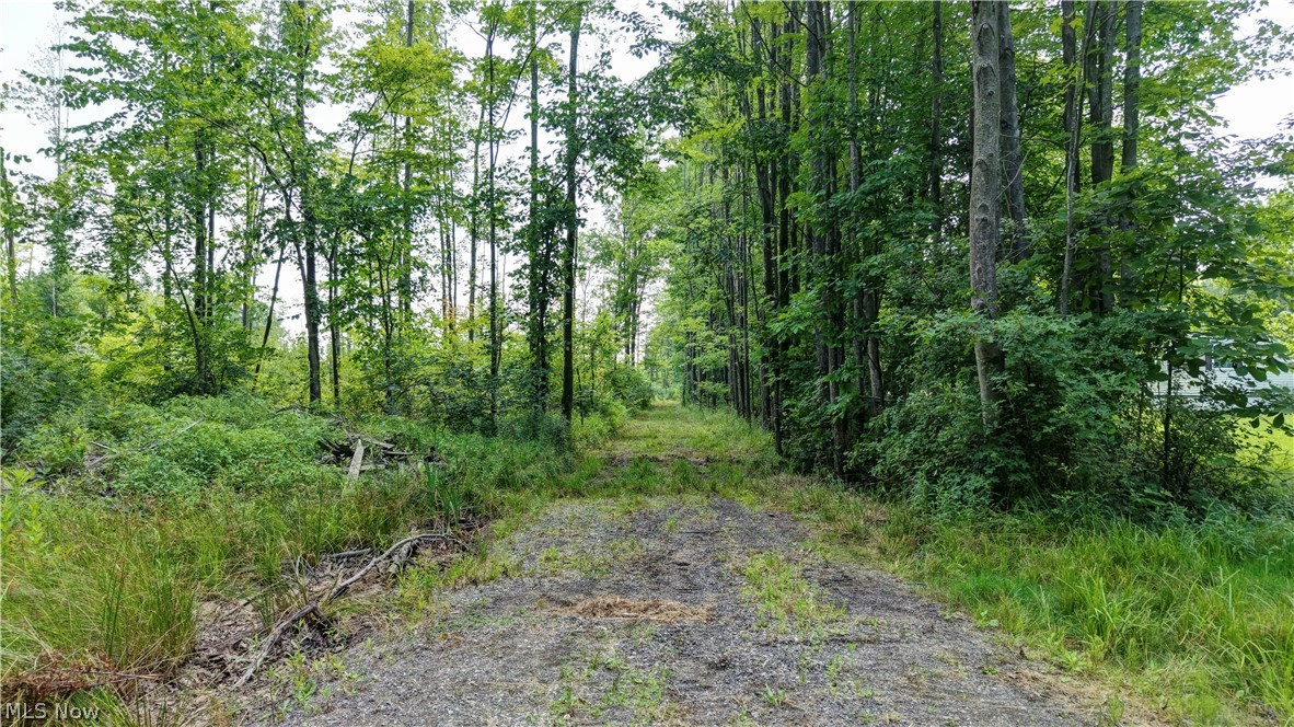 0 Bushnell Campbell Property Photo 1