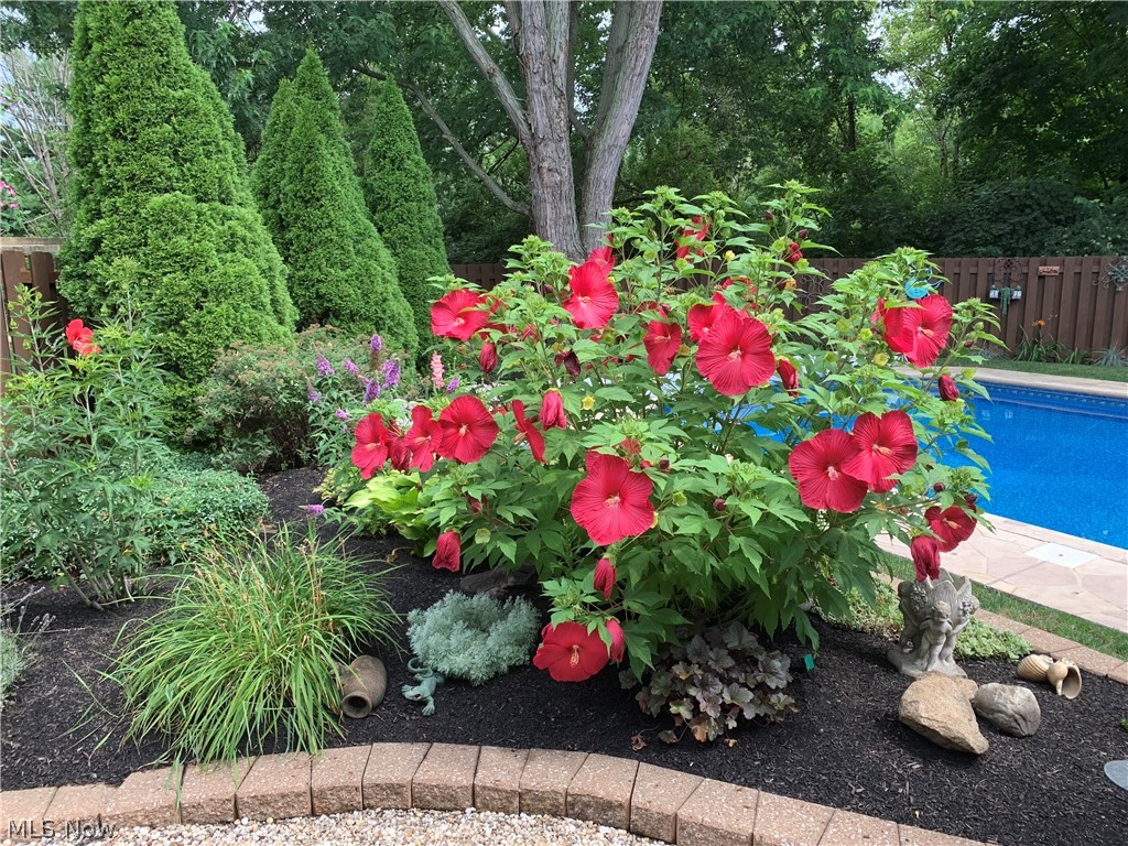 559 Berkshire Drive Property Photo 4
