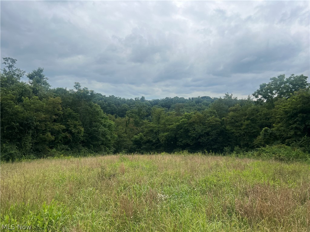 64508 Slade B Road Property Photo 36