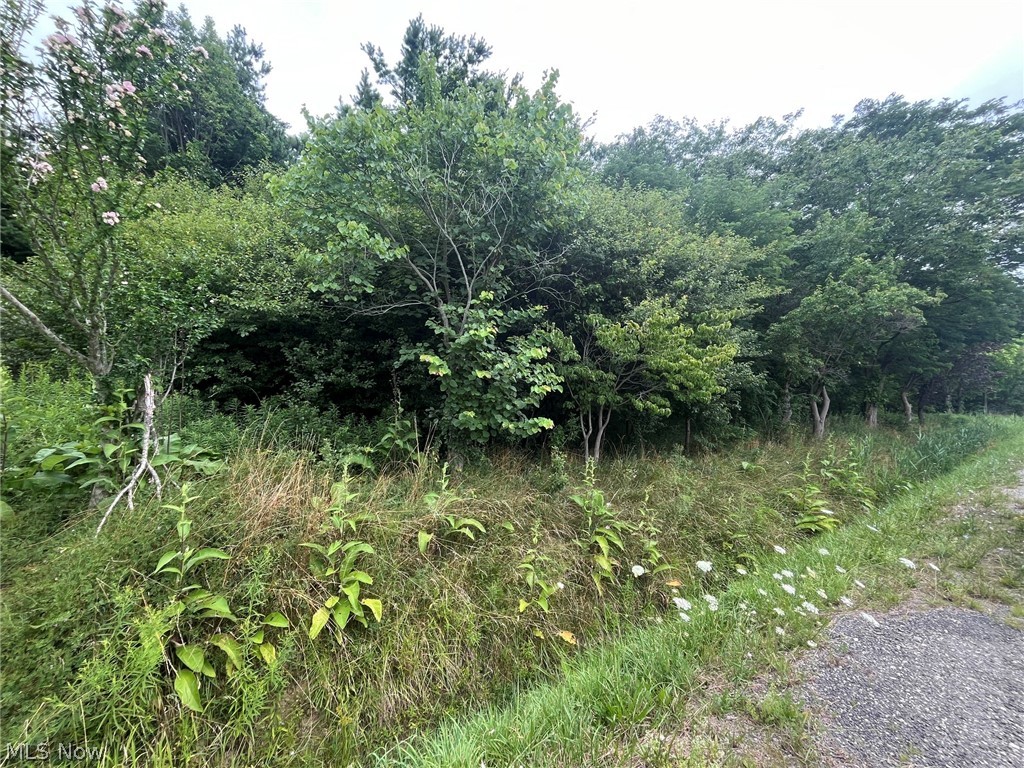 Buie Road Property Photo 1
