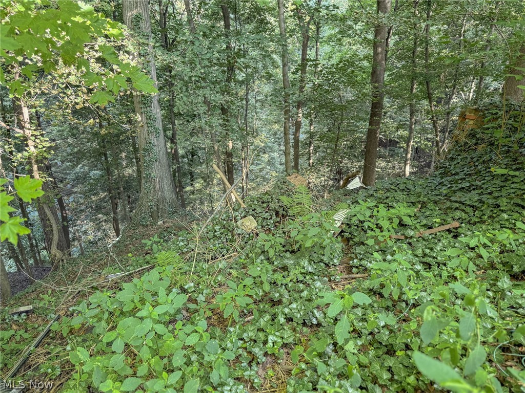 168 Poland Avenue Property Photo 39