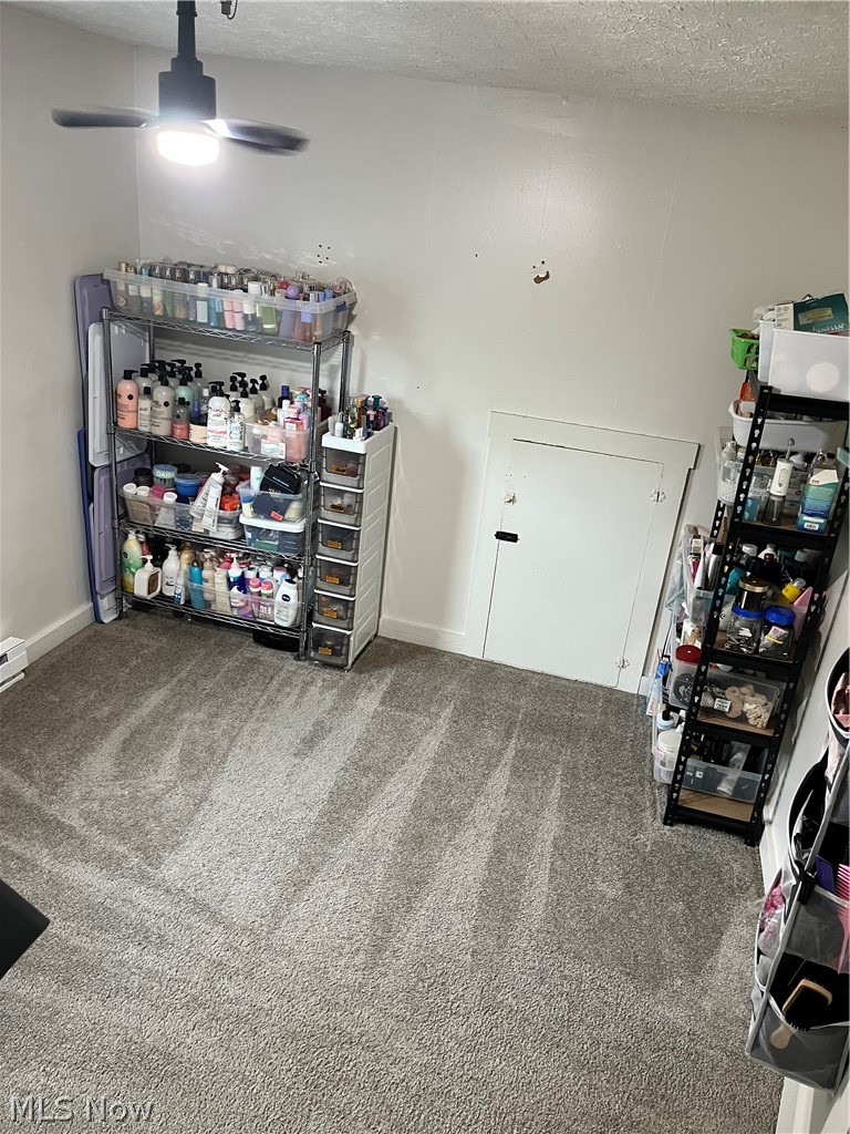 175 Wayne Street Property Photo 29