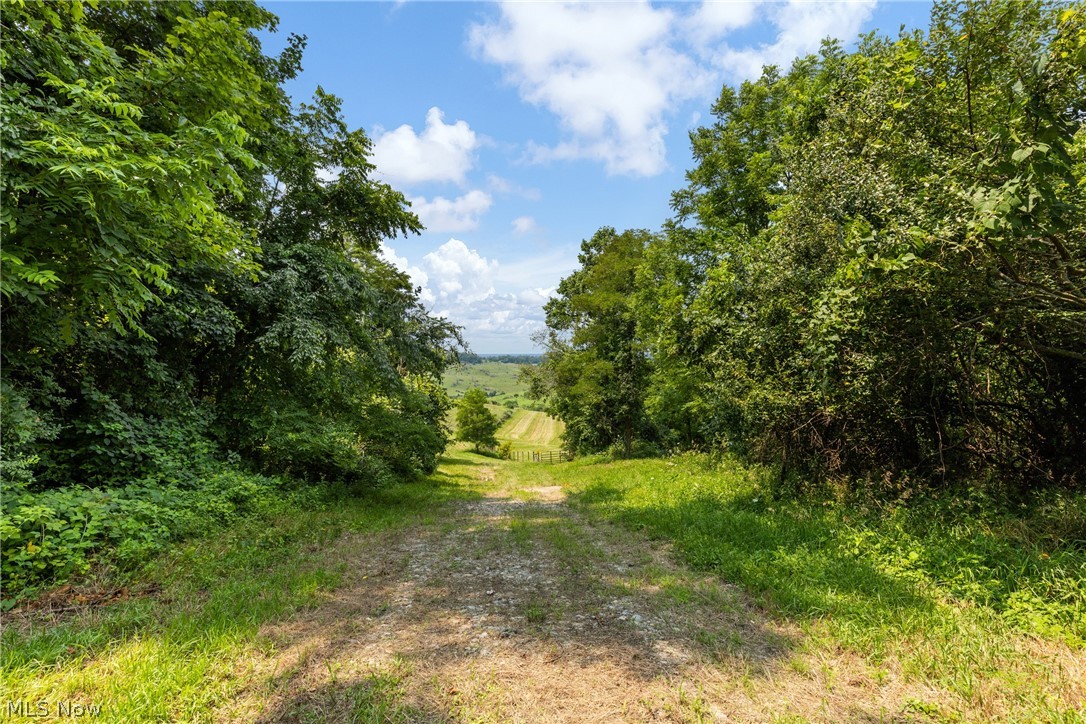 Pultney Avenue Property Photo 18