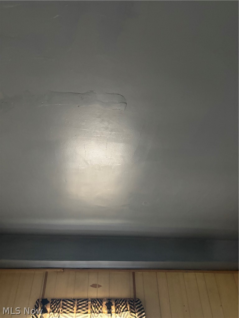 594 E 107th Street Property Photo 27