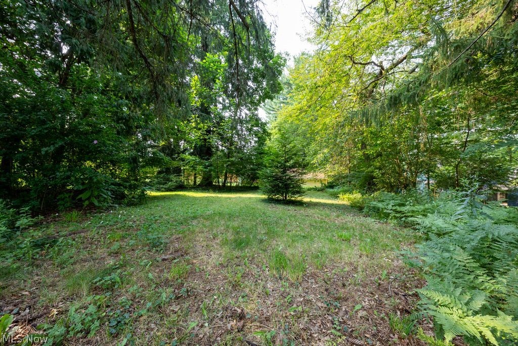 334 Stevens Avenue Property Photo 25