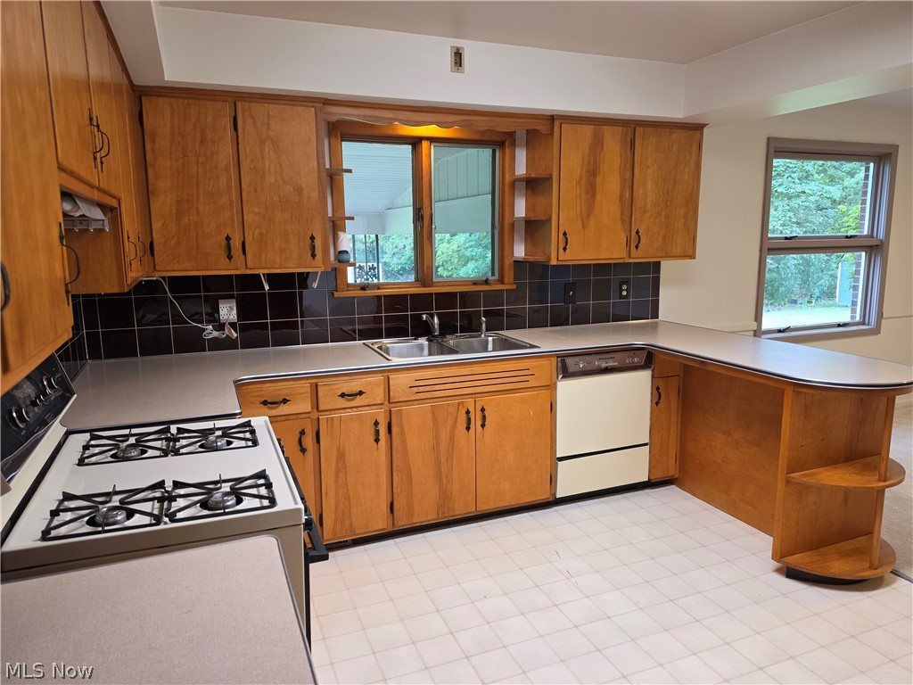 1459 Stepney Property Photo 2