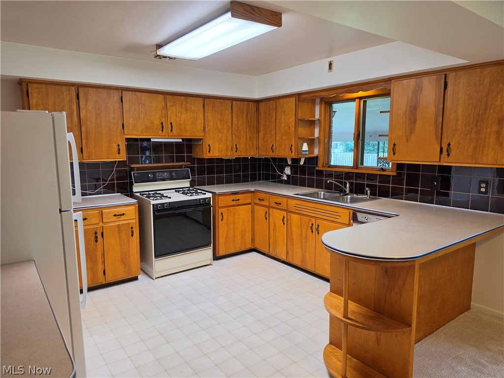 1459 Stepney Property Photo 3