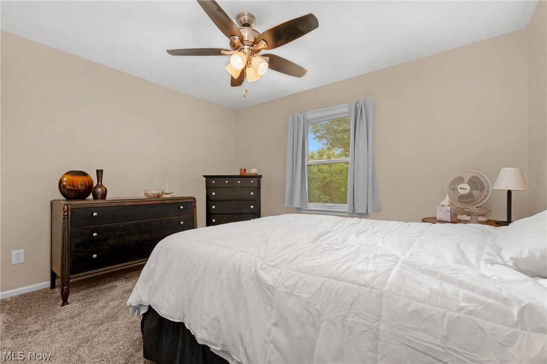 4218 Canterbury Drive Property Photo 33