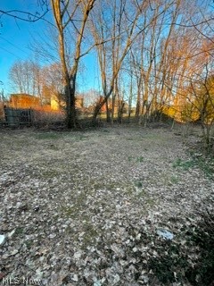 361 Central Ct Property Photo 4
