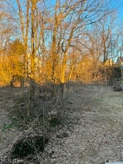 361 Central Ct Property Photo 5