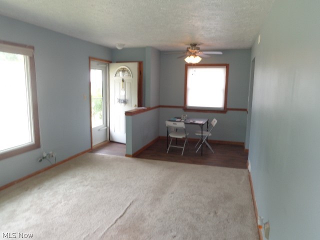 11141 Gabriella Drive Property Photo 6