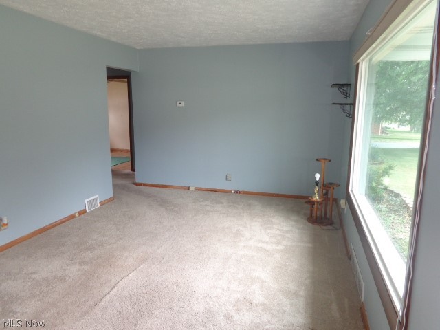 11141 Gabriella Drive Property Photo 7