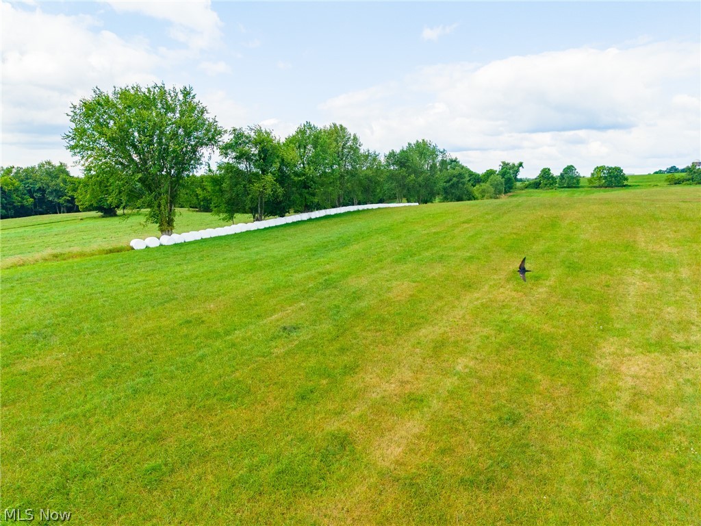 11000 County Road 6 3 Property Photo 24