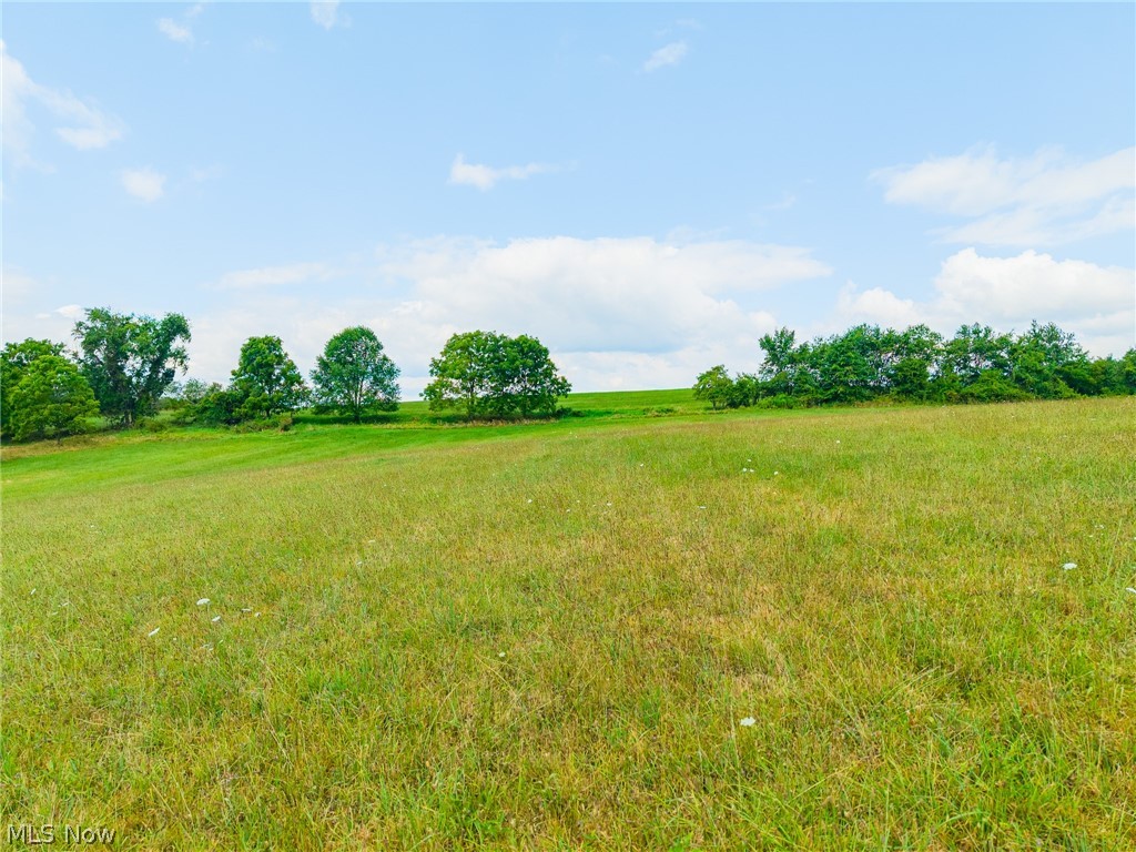 11000 County Road 6 4 Property Photo 14