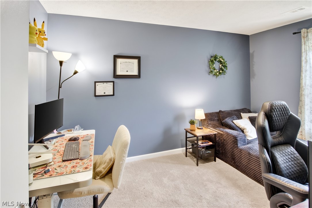 1195 Meadow Run Property Photo 23