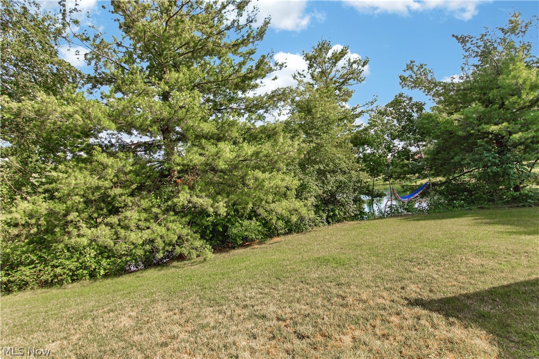 1195 Meadow Run Property Photo 46