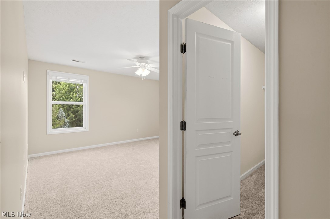 7916 Walcott Way Property Photo 19