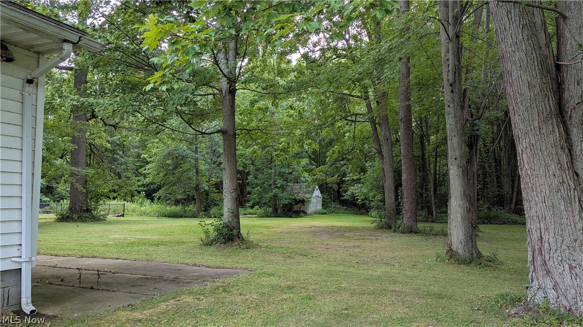 2921 Center Road Property Photo 4