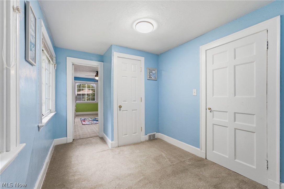 325 Vincent Street Property Photo 26