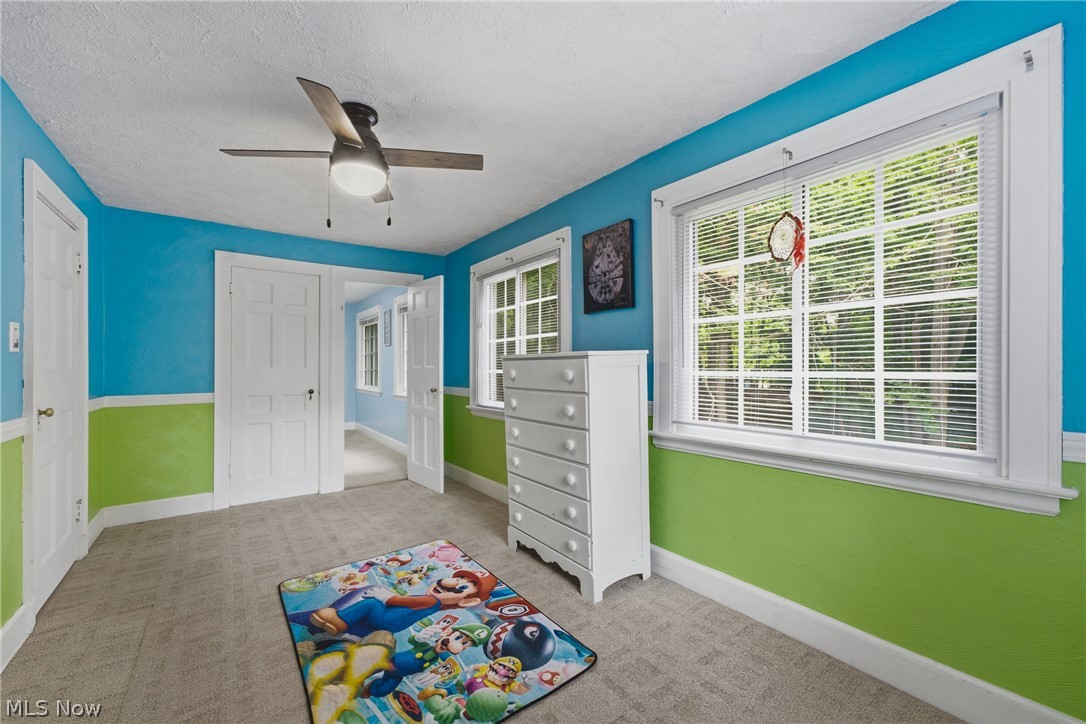 325 Vincent Street Property Photo 29
