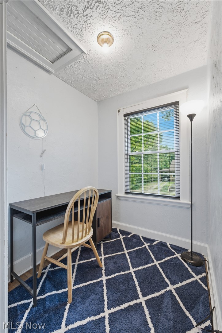 325 Vincent Street Property Photo 30