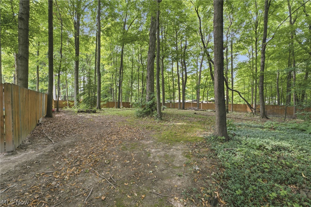 325 Vincent Street Property Photo 43