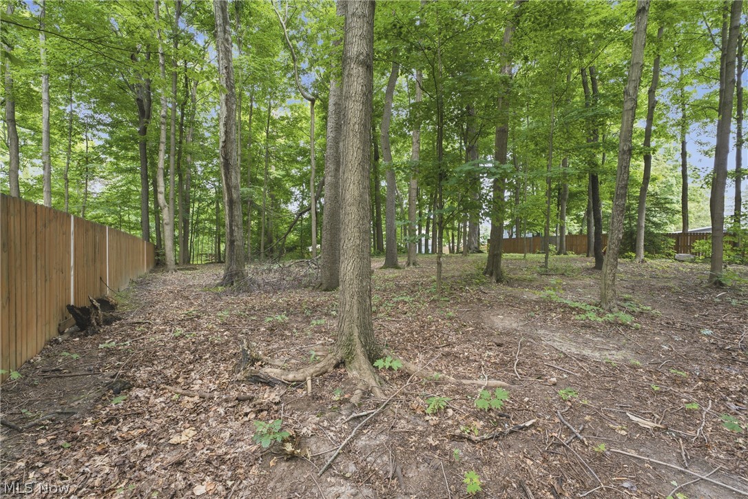 325 Vincent Street Property Photo 44