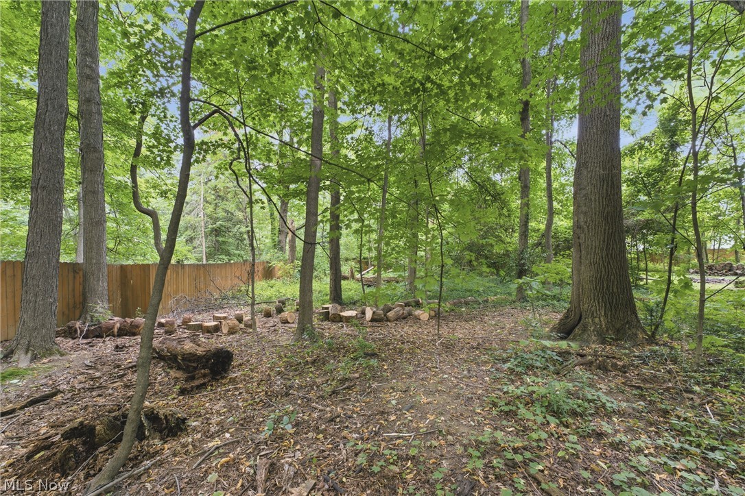 325 Vincent Street Property Photo 45
