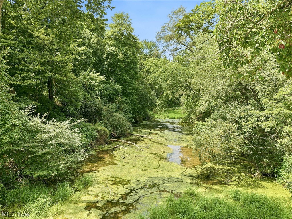 31991 Haessly Road Property Photo 25