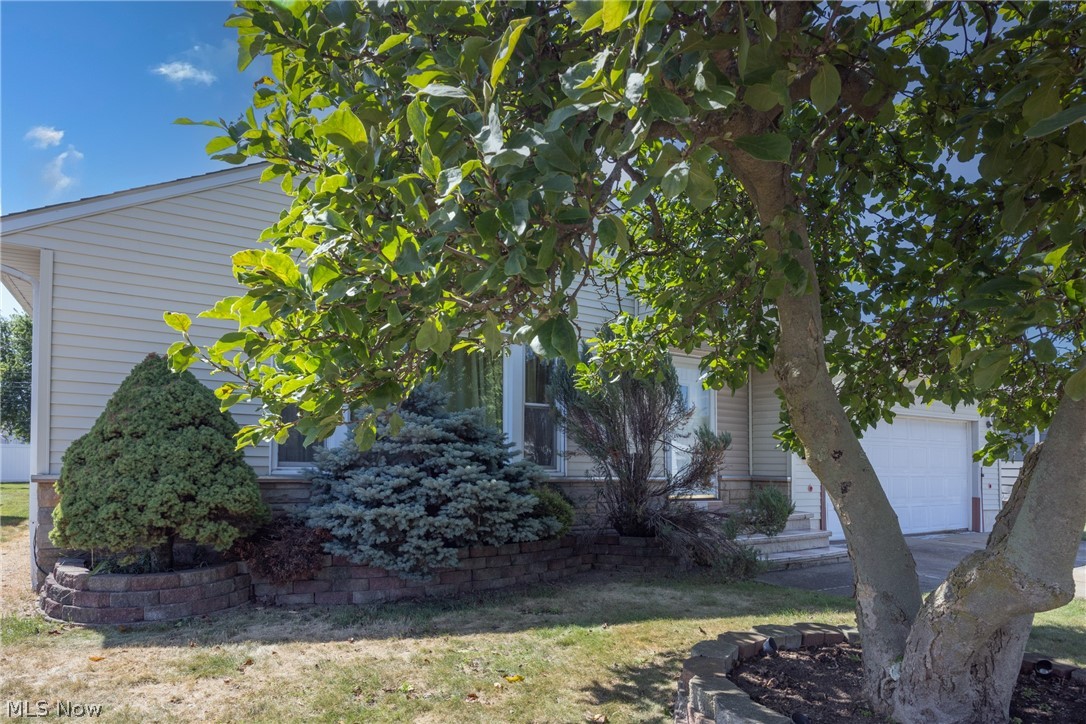 1668 Chelmsford Property Photo 3