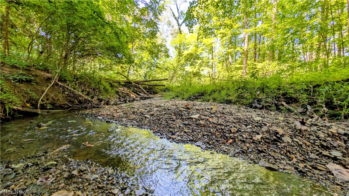 1305 Garrison Road Property Photo 4