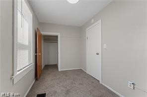 223 E Maple Street Property Photo 16