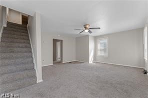 223 E Maple Street Property Photo 19