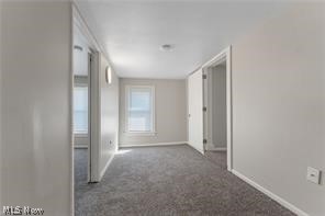 223 E Maple Street Property Photo 22