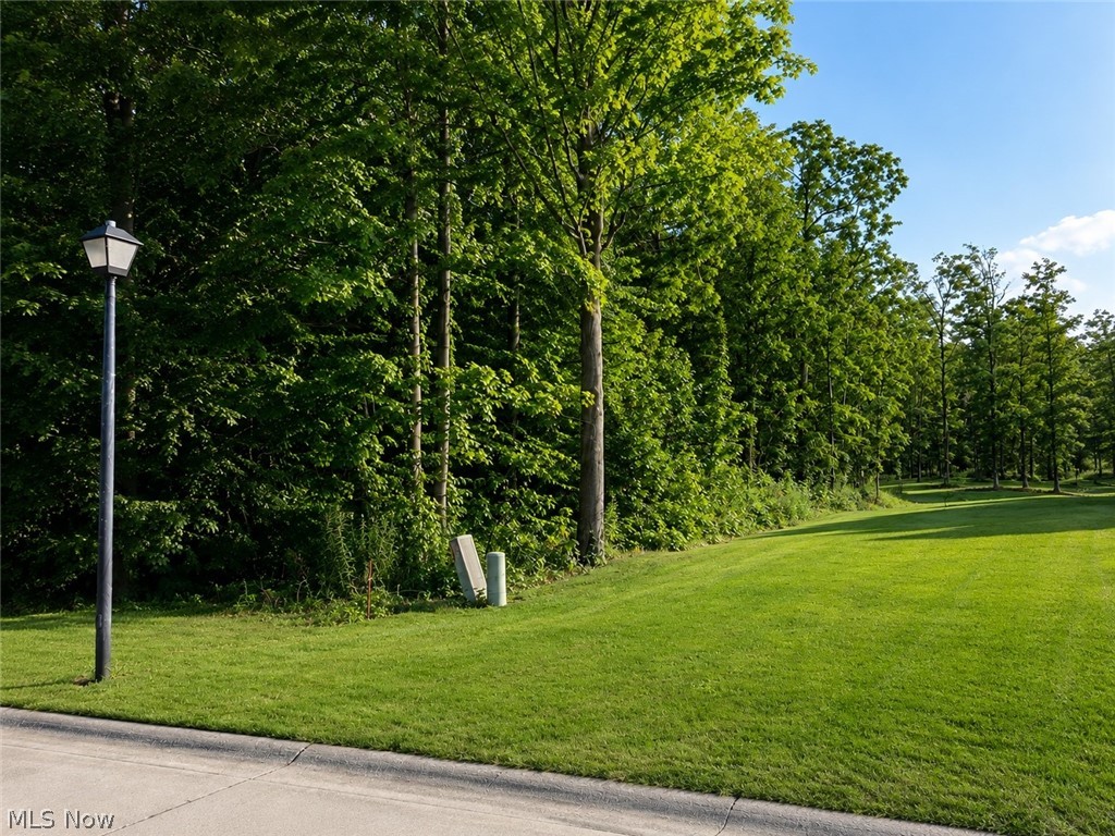 35 Stony Brook Lane Property Photo 1