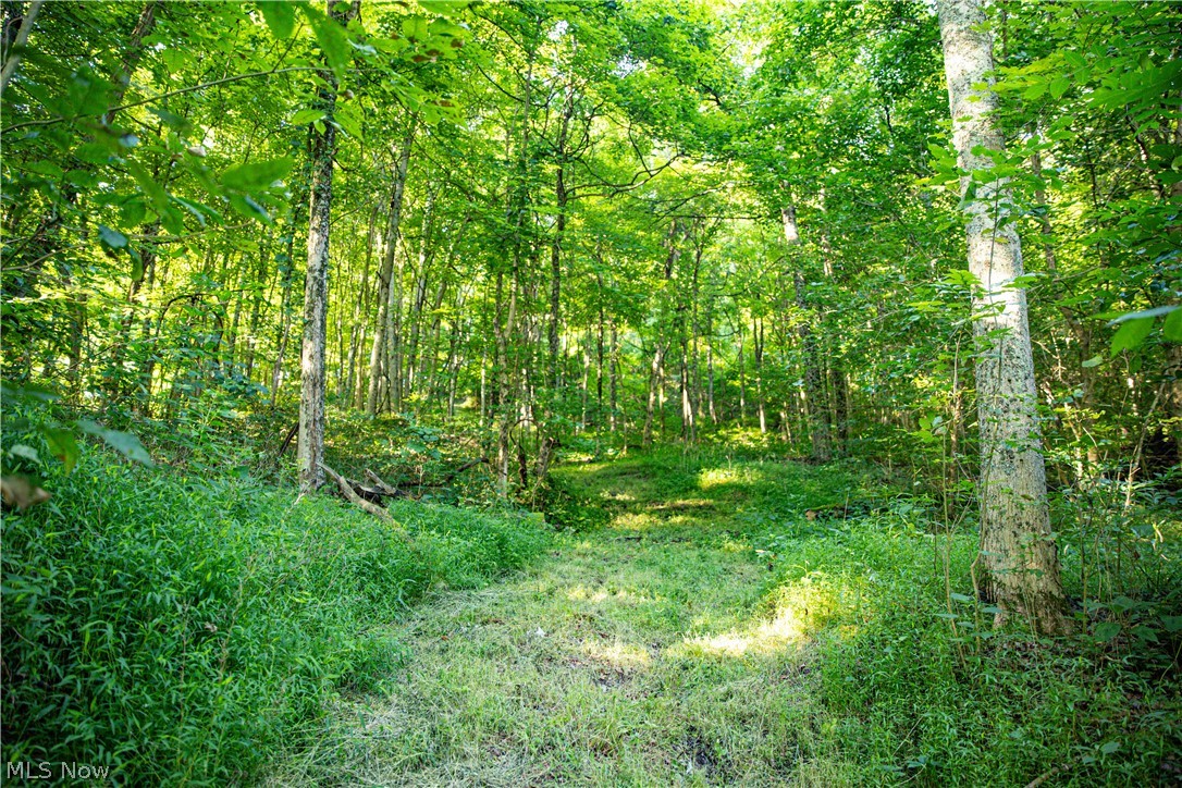 52982 Wegee Road Property Photo 21