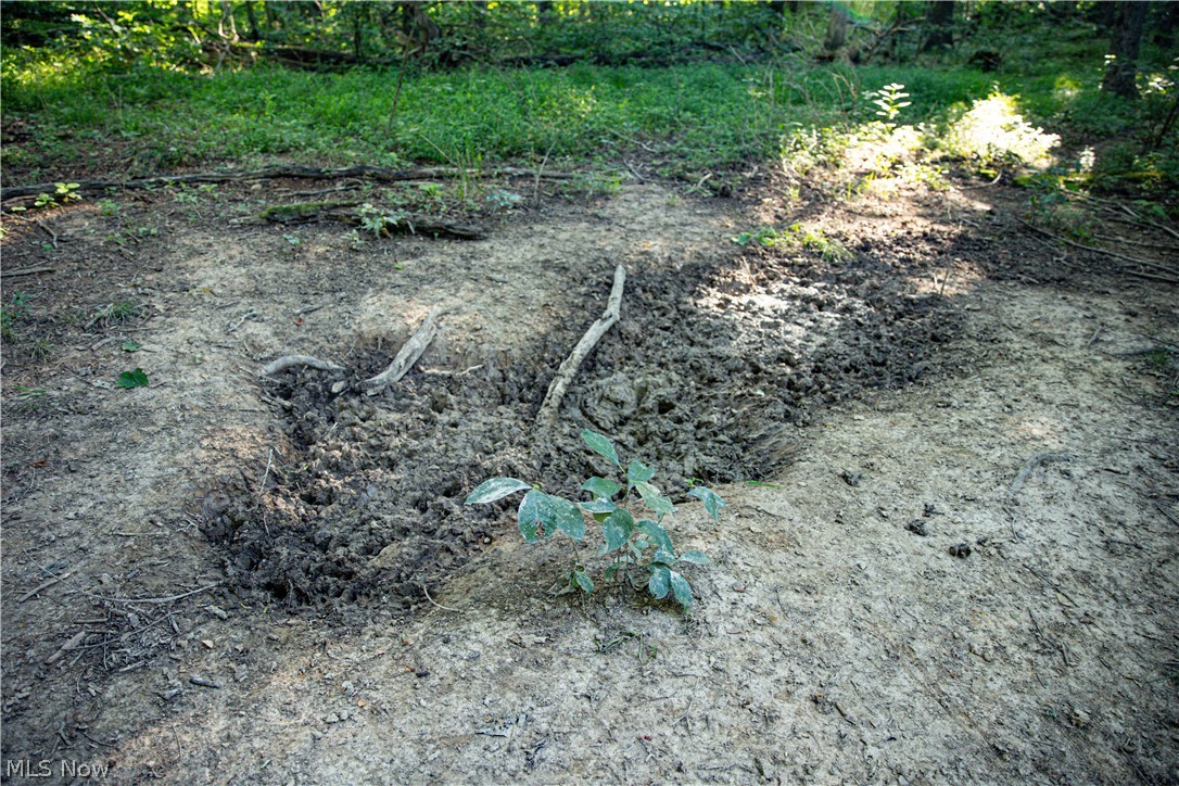 52982 Wegee Road Property Photo 27