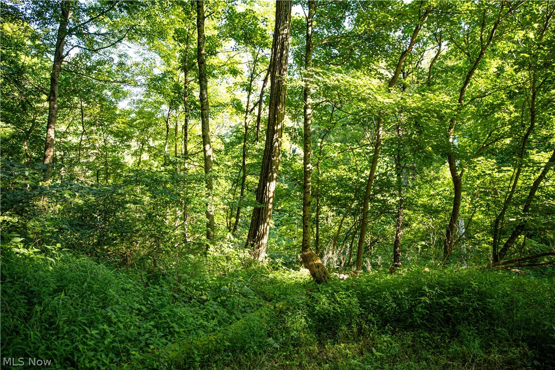 52982 Wegee Road Property Photo 29