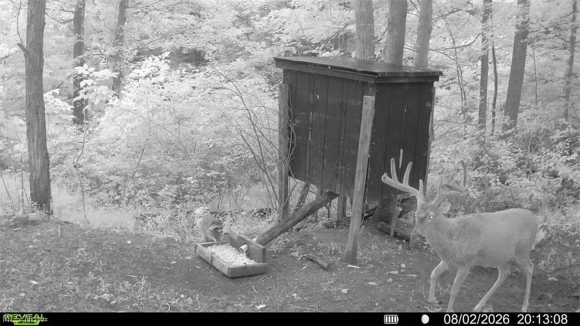 52982 Wegee Road Property Photo 38