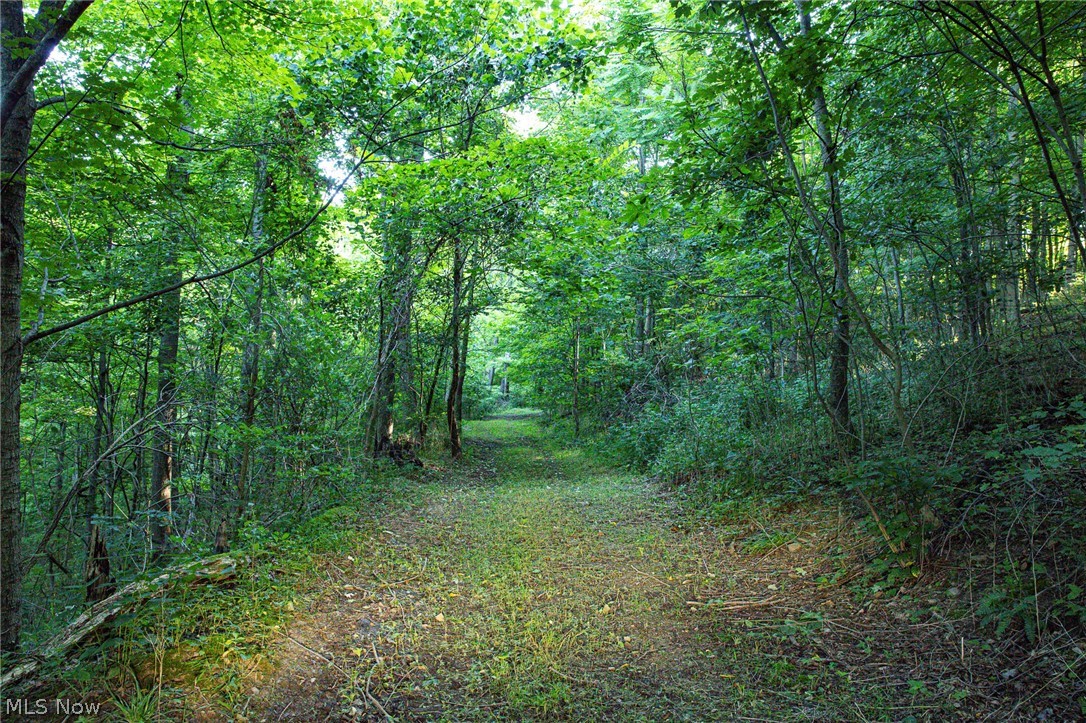 52982 Wegee Road Property Photo 42