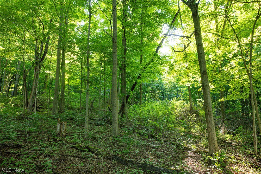 52982 Wegee Road Property Photo 45