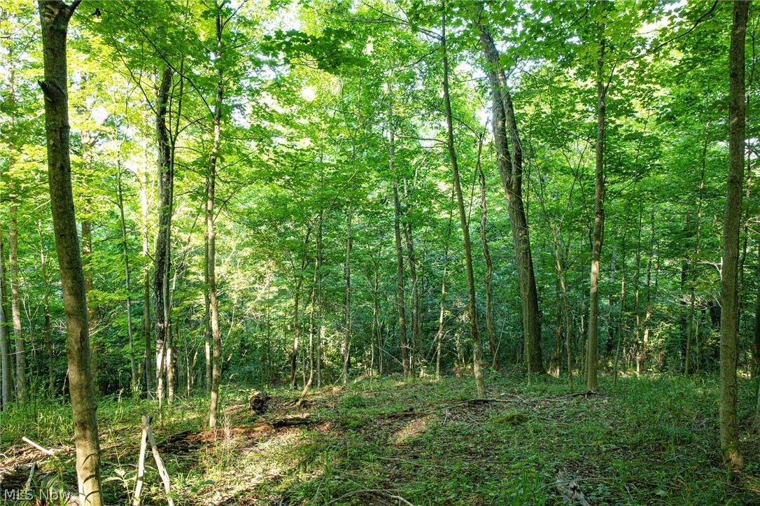 52982 Wegee Road Property Photo 46